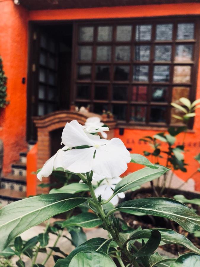 Casa Azul Hotel Guanajuato Bagian luar foto